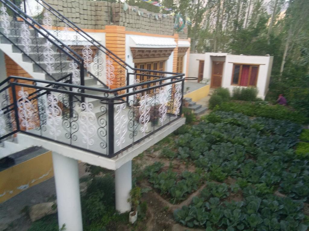 Galaxy Guest House Hundar Bagian luar foto