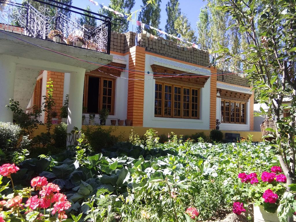 Galaxy Guest House Hundar Bagian luar foto
