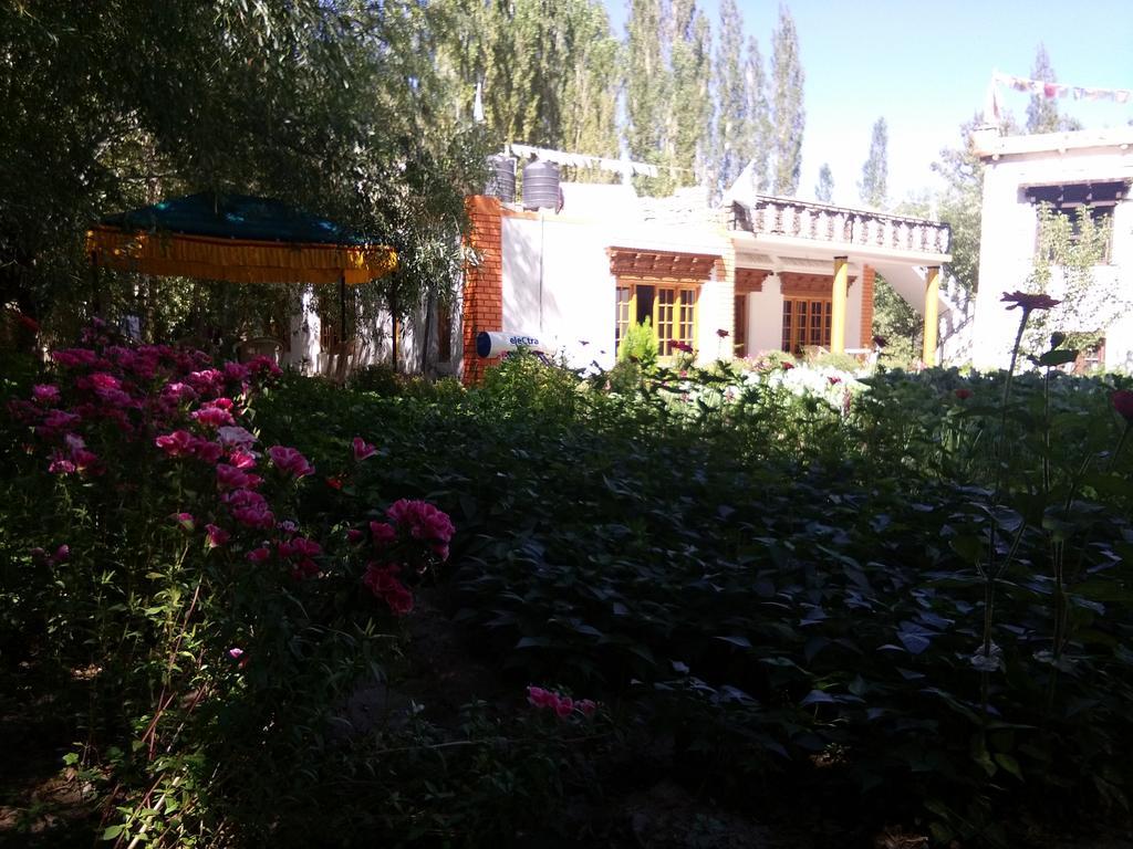 Galaxy Guest House Hundar Bagian luar foto